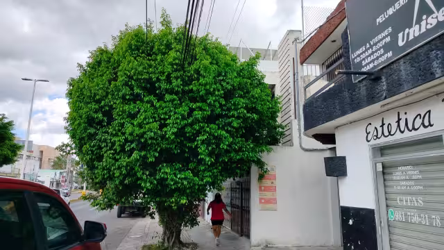 Corto circuito en Avenida Central causa pérdidas y quejas vecinales