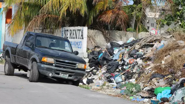 Debido al incontinuo servicio de los camiones de basura, se ha generado un problema de plagas