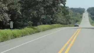 Encuentran sin vida a Canica.