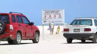 Vigilan que los turistas no ingresen con autos a las zonas de anidación de tortugas en Chuburná