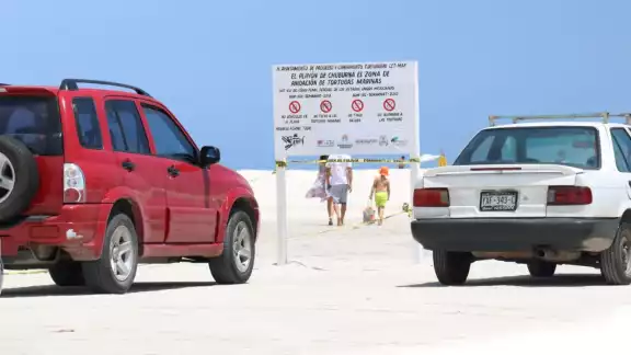Las personas que lleguen en vehículos a sitios de anidamiento deben acatar las disposiciones