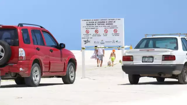 Las personas que lleguen en vehículos a sitios de anidamiento deben acatar las disposiciones