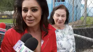 La actriz volverá a la pantalla chica