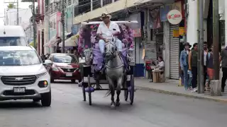 Caleseros no pueden circular antes de las 16:00 horas en Mérida