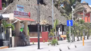 Se dispara el precio del pescado frito en Progreso: podría llegar hasta 450 pesos el kilo