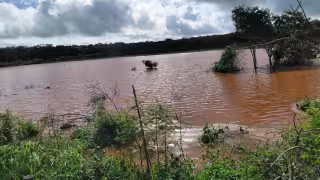 Lluvias arrasan 160 hectáreas de maíz en Hopelchén; pérdidas rozan los 2 mdp