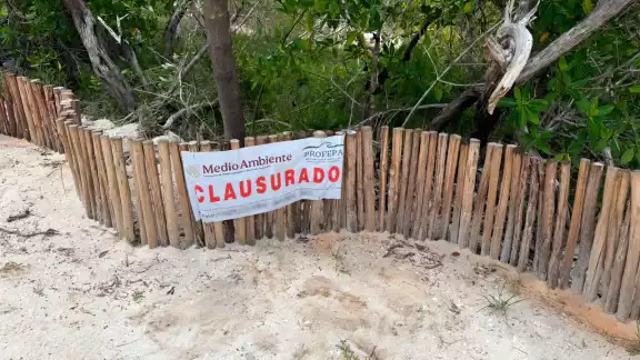 Los desarrollos fueron detectados en el Área de Protección de Flora y Fauna Yum Balam Los desarrollos fueron detectados en el Área de Protección de Flora y Fauna Yum Balam