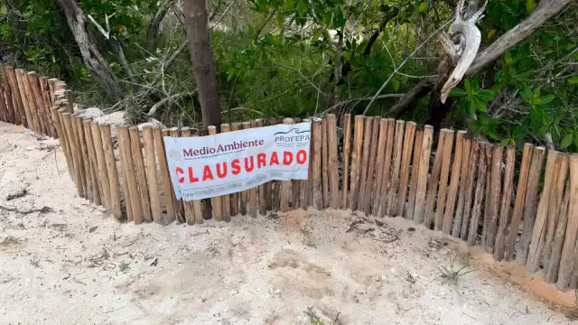 Los desarrollos fueron detectados en el Área de Protección de Flora y Fauna Yum Balam
