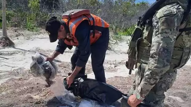 Personal naval asegura en manglares de Dzilam de Bravo utensilios para cocinar especies en veda