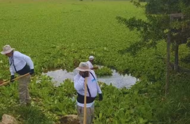 Plata de tratamiento no funciona apropiadamente, causando contaminación innecesaria.