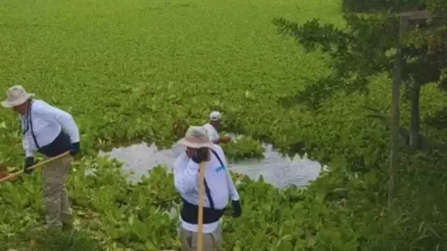 Plata de tratamiento no funciona apropiadamente, causando contaminación innecesaria.