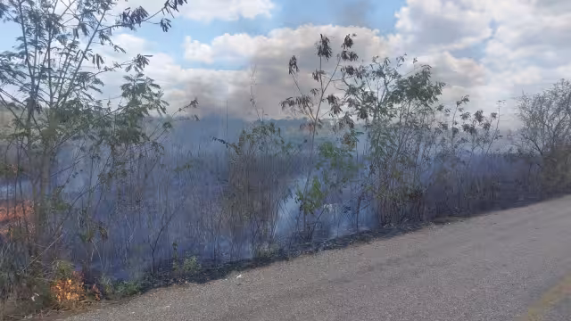 Un incendio de gran magnitud afecta sembradores de ‘Sembrando Vida’ y una granja avícola