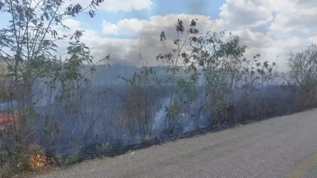 Un incendio de gran magnitud afecta sembradores de ‘Sembrando Vida’ y una granja avícola