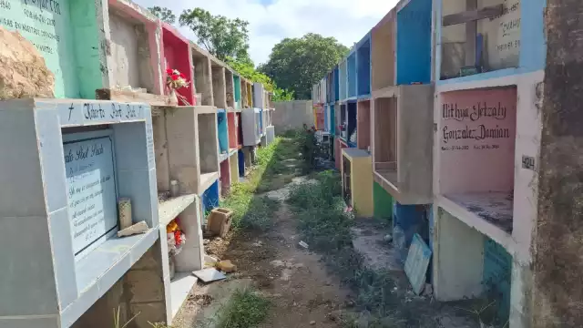 Muchos rincones del panteón se encuentran totalmente en el olvido.
