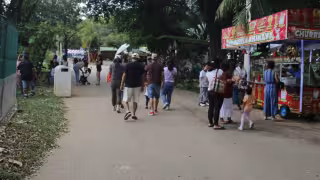 Cecilia Patrón confirma relevo de directores y ajustes de personal en el Centenario de Mérida