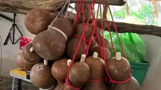 Actualmente ya casi ningún campesino se dedica a su cultivo