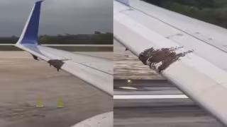 En el video se aprecia como los insectos vuelan uno por uno durante el despegue del avión