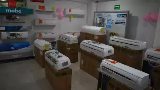 Los jóvenes recién egresados encuentran oportunidades laborales en el sector de reparación de estos equipos