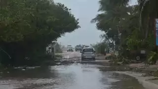 Beryl ingresaría como categoría 1 o 2