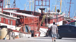 A partir de mañana se abre la temporada de captura del mero y se espera lograr buenos precios