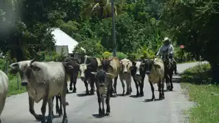 La Entidad es la única de toda la Península que tiene reporte de “Sequía Anormal”.