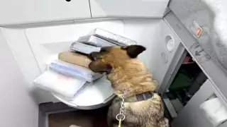 El operativo en la entidad fue implementado por el Gabinete de Seguridad a nivel federal; hubo detenciones, cateos, aseguramientos de armas de fuego y de drogas.