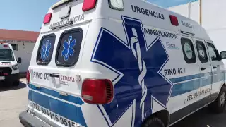 Ambulancia atiende a trabajadores que sufrieron de picaduras de abeja africana