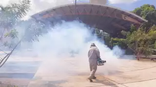 Las Brigadas de Vectores de Calkiní recorrieron el barrio San Isidro, para erradicar al mosco transmisor