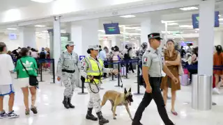 El cargamento de enervantes estaba preparado, listo para ser distribuido en la ciudad, informaron autoridades federales