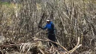 Productores exigen una pronta solución ante las afectaciones