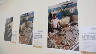 Exposición Pesca de Tiburón y Raya Artesanal
