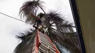 Fuertes vientos causan descargas eléctricas en plantel de bachillerato de Felipe Carrillo Puerto