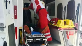 Campesino sufre brutal ataque de abejas en Champotón; lo trasladan grave al hospital