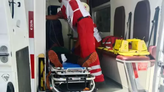 Ataque de abejas en ranchería de Champotón deja a un hombre al borde de la muerte Ataque de abejas en ranchería de Champotón deja a un hombre al borde de la muerte