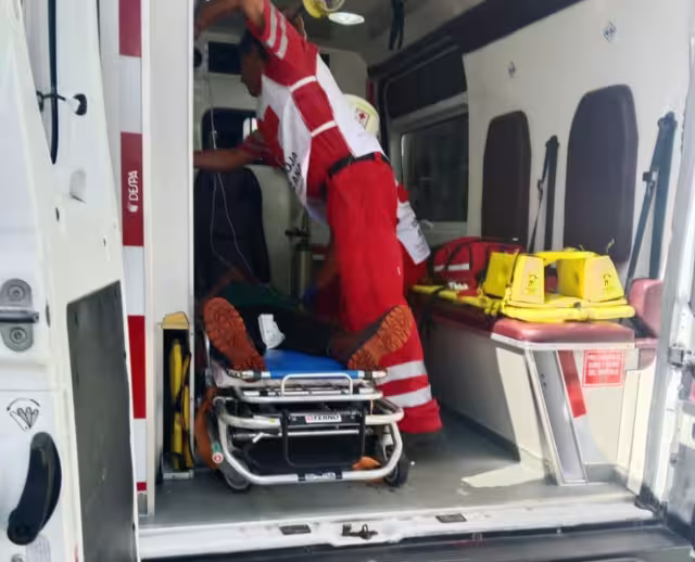 Ataque de abejas en ranchería de Champotón deja a un hombre al borde de la muerte