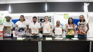 Productores de la abeja melipona realizarán encuentro en Mérida para promover su conservación