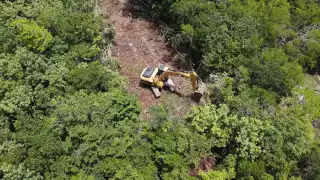 Yucatán pierde más de 27 mil hectáreas de selva maya; invasión inmobiliaria, entre las causas