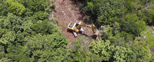 La tasa anual en la Península de Yucatán es de 0.4, cuando a nivel nacional es de tan sólo 0.1