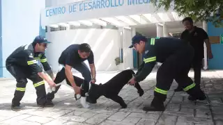 El Ayuntamiento de Mérida reporta listos 68 refugios temporales en la ciudad y sus comisarías