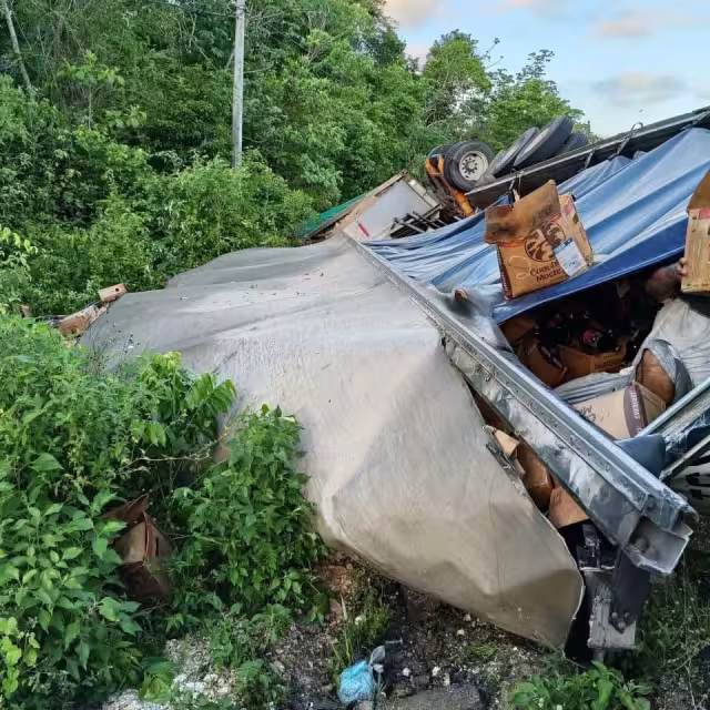 Ciudadanos lograron llevarse producto que cargaba el vehículo
