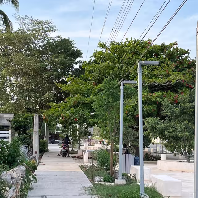 Parque lineal de Hopelchén bajo amenaza por omisión de la CFE