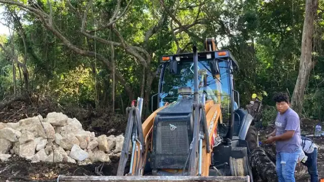 Maquinaria pesada trabaja en la zona selvática de Xcalacoco, pese a la falta de permisos ambientales.