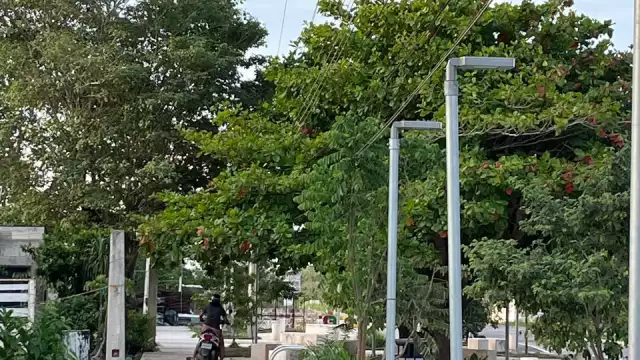 Parque lineal de Hopelchén bajo amenaza por omisión de la CFE