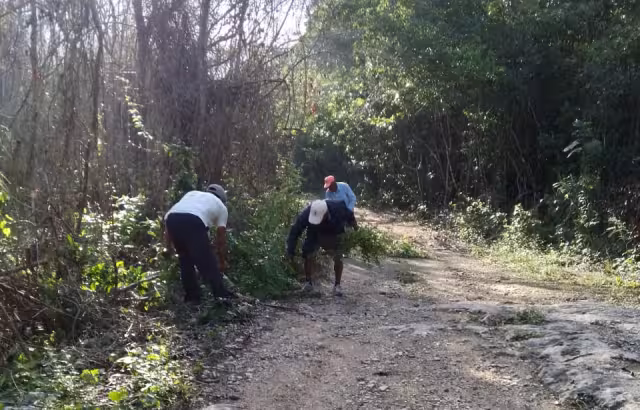 Los habitantes de Tunich Há trabajan para evitar que el fuego alcance sus tierras.