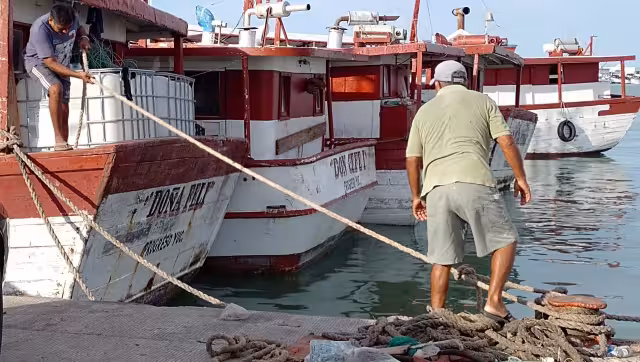 Pescadores de la región se preparan para cerrar la temporada de pulpo el próximo 15 de diciembre