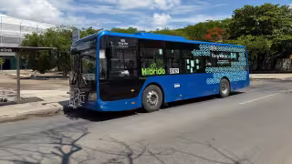 Rutas Va y Ven de Mérida que operarán con viajes GRATIS del 29 al 31 de mayo