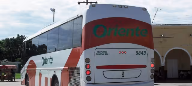 Durante una peregrinación, la gente pensó que la arrollarían y dos sujetos estallaron pirotecnia