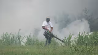 Campechanos exigen a Salud reforzar campañas de fumigación ante el incremento de contagios de dengue