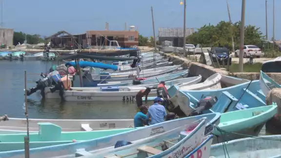 Hombres de mar se alejan cada vez más de la costa para poder capturar algo de escama