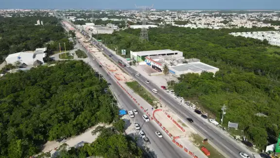 El cadáver del puma quedó tendido en la carretera Cancún-Chetumal El cadáver del puma quedó tendido en la carretera Cancún-Chetumal